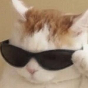 Meet your Posher, Layla